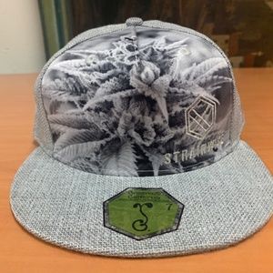 Strainwise Gray Pines 7